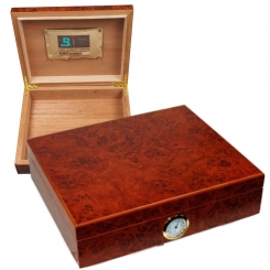 Angelo Humidor, Boveda, Necuma Wurzelholzdekor 