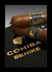 Cohiba Zigarre Kuba Behike BHK 52 