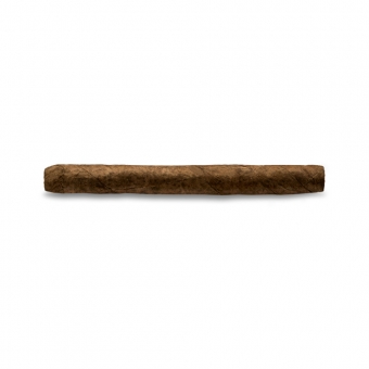 10er Packung Bentley Senoritas 