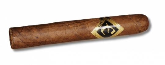 Zigarre Epic Gold Robusto 