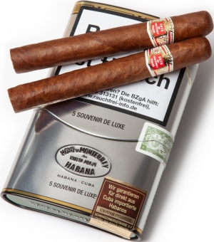 Hoyo de Monterrey Zigarre Souvenier de Luxe 