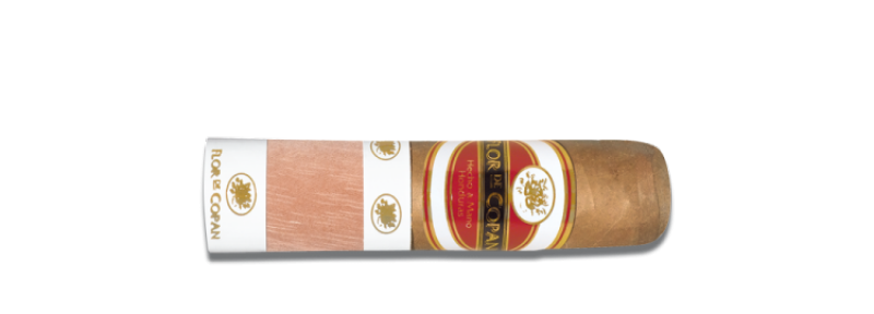 Artikelbild 1 des Artikels “Zigarre Flor de Copán Classic Magnum (Short Gordo) “