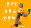 Artikelbild 4 des Artikels “Zigarre Zino Nicaragua Toro “